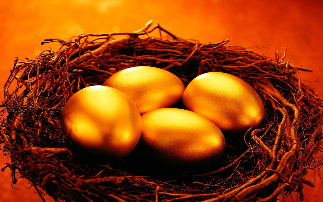 golden-eggs in nest image by Soufiene Goucha, Pixabay